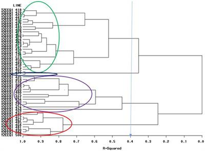 The combining ability of extra-early maturing quality protein maize (Zea mays) inbred lines and the performance of their hybrids in Striga-infested and low-nitrogen environments